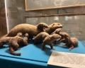 Выборгский замок: отзыв от Анна Сучкова