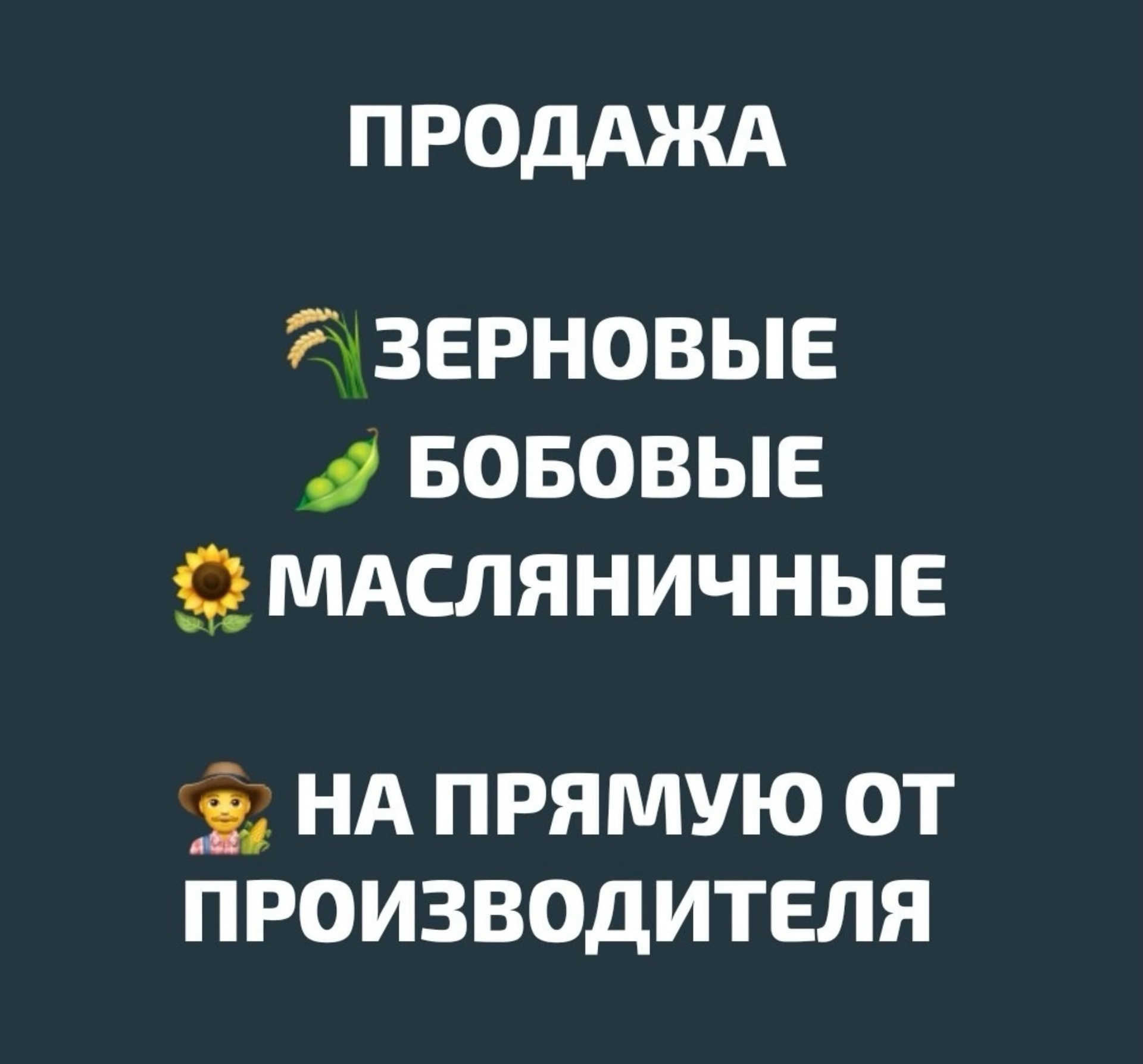 Леон Трэйд Агро групп, компания по трейдингу зерновых и масличных культур,  Конева, 14, Омск — 2ГИС