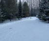  Зелёный дом: отзыв от Алексей Лысай