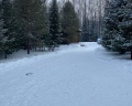  Зелёный дом: отзыв от Алексей Лысай