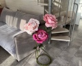 Olivka home: отзыв от Юлия Перевязко