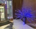 Novotel Москва Центр: отзыв от Наталья Р.