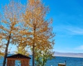 Море Гусиное: отзыв от Юлия Юлия