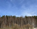 The Lagom: отзыв от Никита Новокрещенов