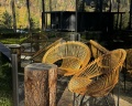 Pinewood resort&SPA: отзыв от Алина Шаповалова