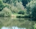 Берёзовка: отзыв от Игорь Худяков