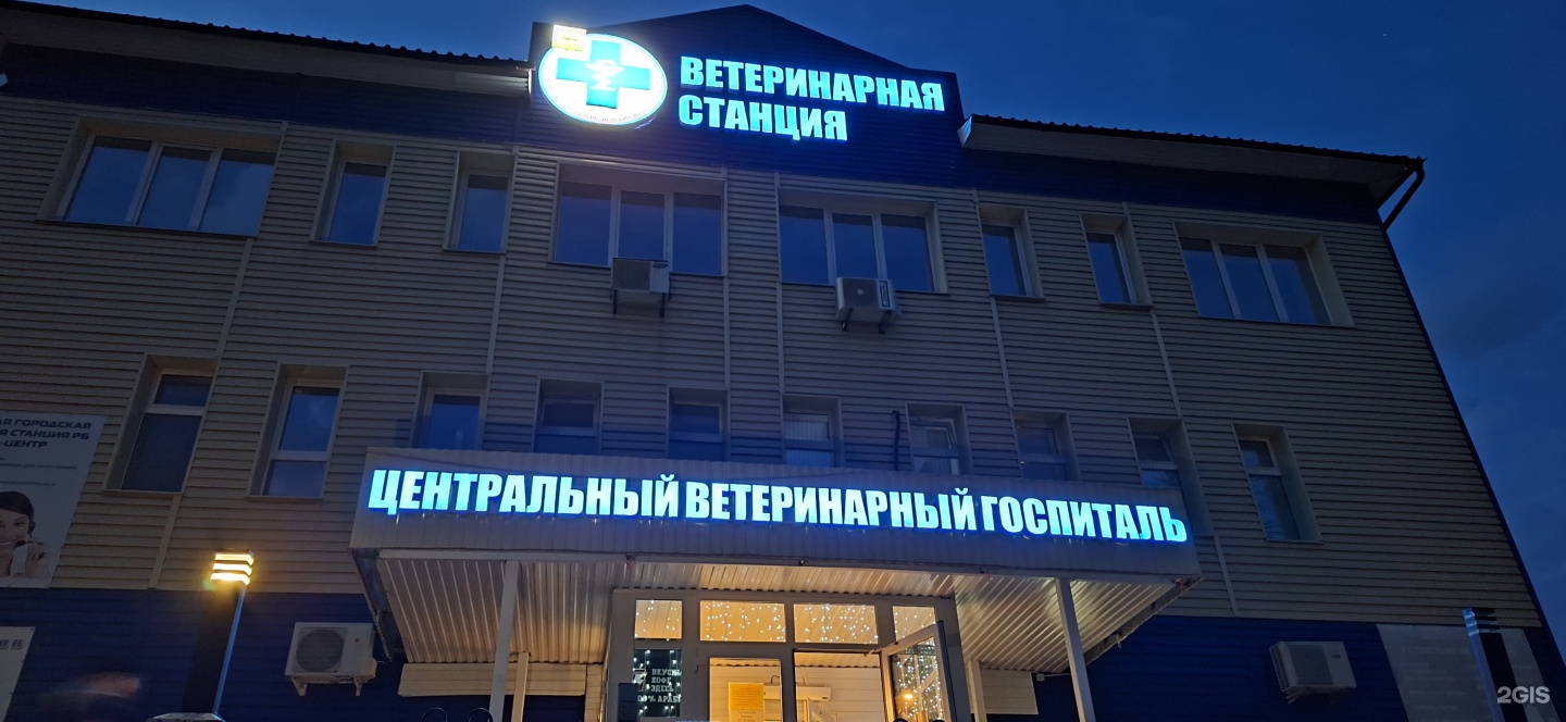 Уфимская городская ветеринарная станция Республики Башкортостан, головной  офис, Менделеева, 162/3, Уфа — 2ГИС