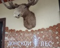 Донской Лес: отзыв от Руслан Кира