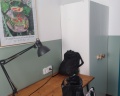 Laika: отзыв от Городской житель
