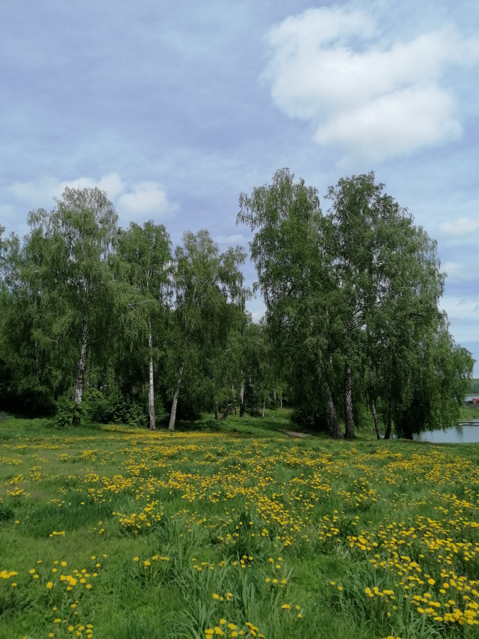 Пещёрский водопад, база отдыха, Залесовский район, Залесовский район — 2ГИС